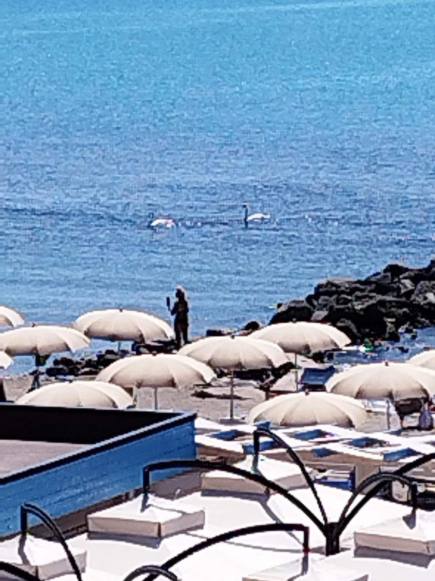 Apartment With Seaview Casa Davidoff Lido di Ostia Ngoại thất bức ảnh