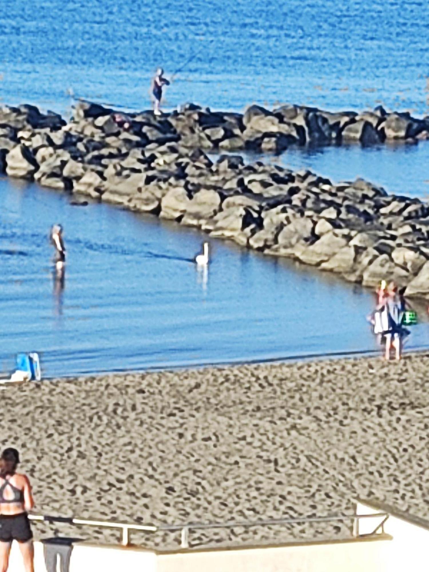 Apartment With Seaview Casa Davidoff Lido di Ostia Ngoại thất bức ảnh